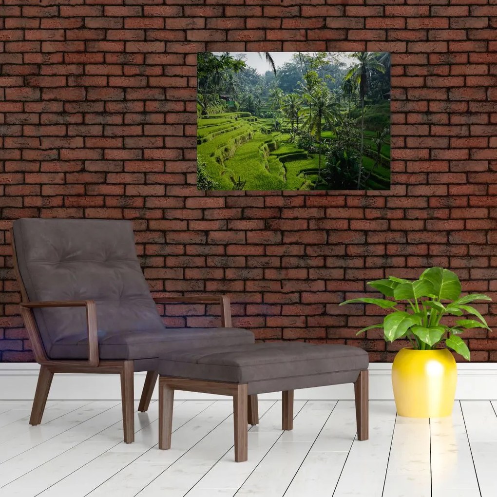 Obraz tarasów ryżowych Tegalalang, Bali (70x50 cm)