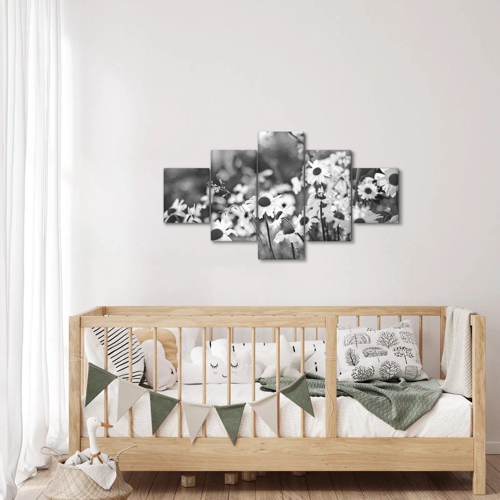 Obraz - Stokrotki (125x70 cm)