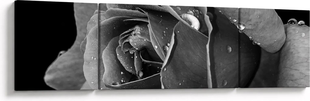 Obraz róży - czarno - biały (170x50 cm)