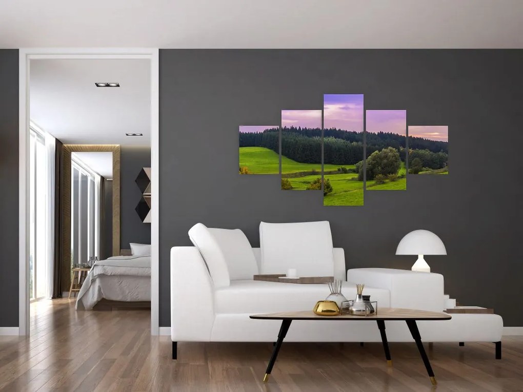 Obraz łąki (125x70 cm)