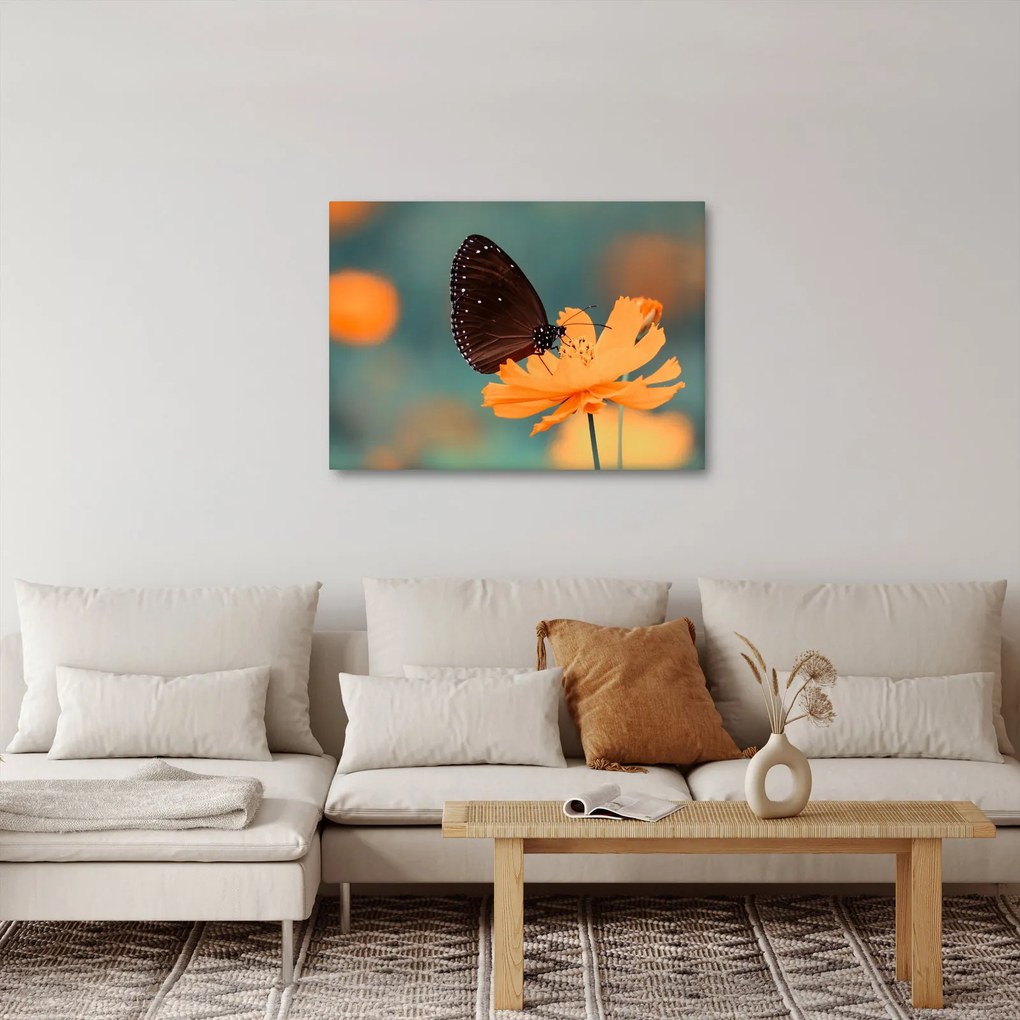 Obraz - motyl na pomarańczowym kwiatku (70x50 cm)