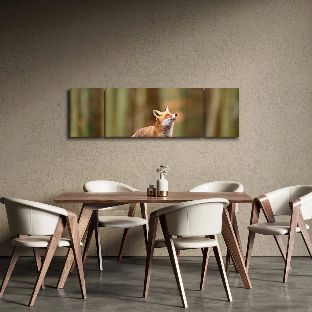 Obraz - Lis (170x50 cm)