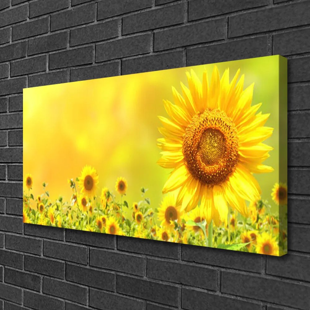 Obraz canvas na ścianę Słonecznik pod Letnim Niebem