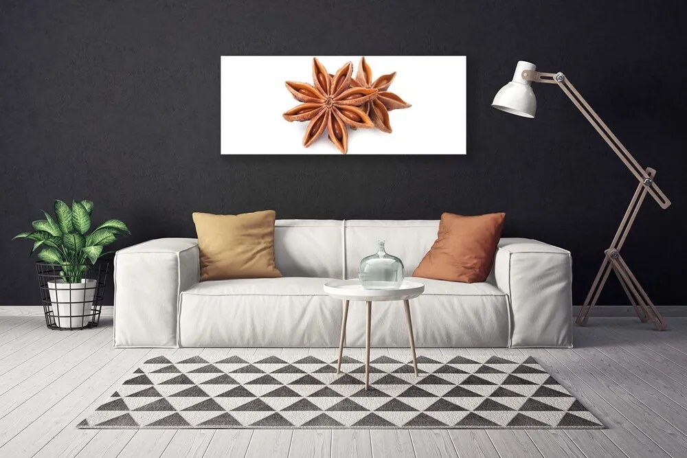 Obraz Canvas Anyż Gwiazda Przyprawa
