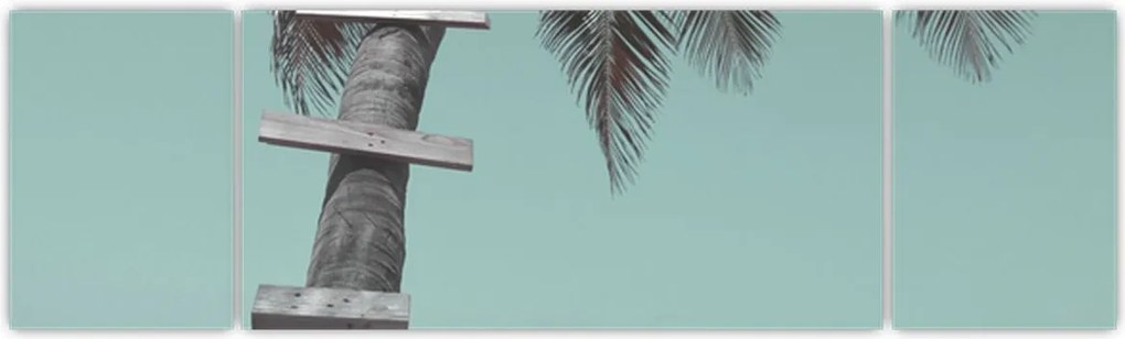 Obraz - Palma na Karaibach (170x50 cm)