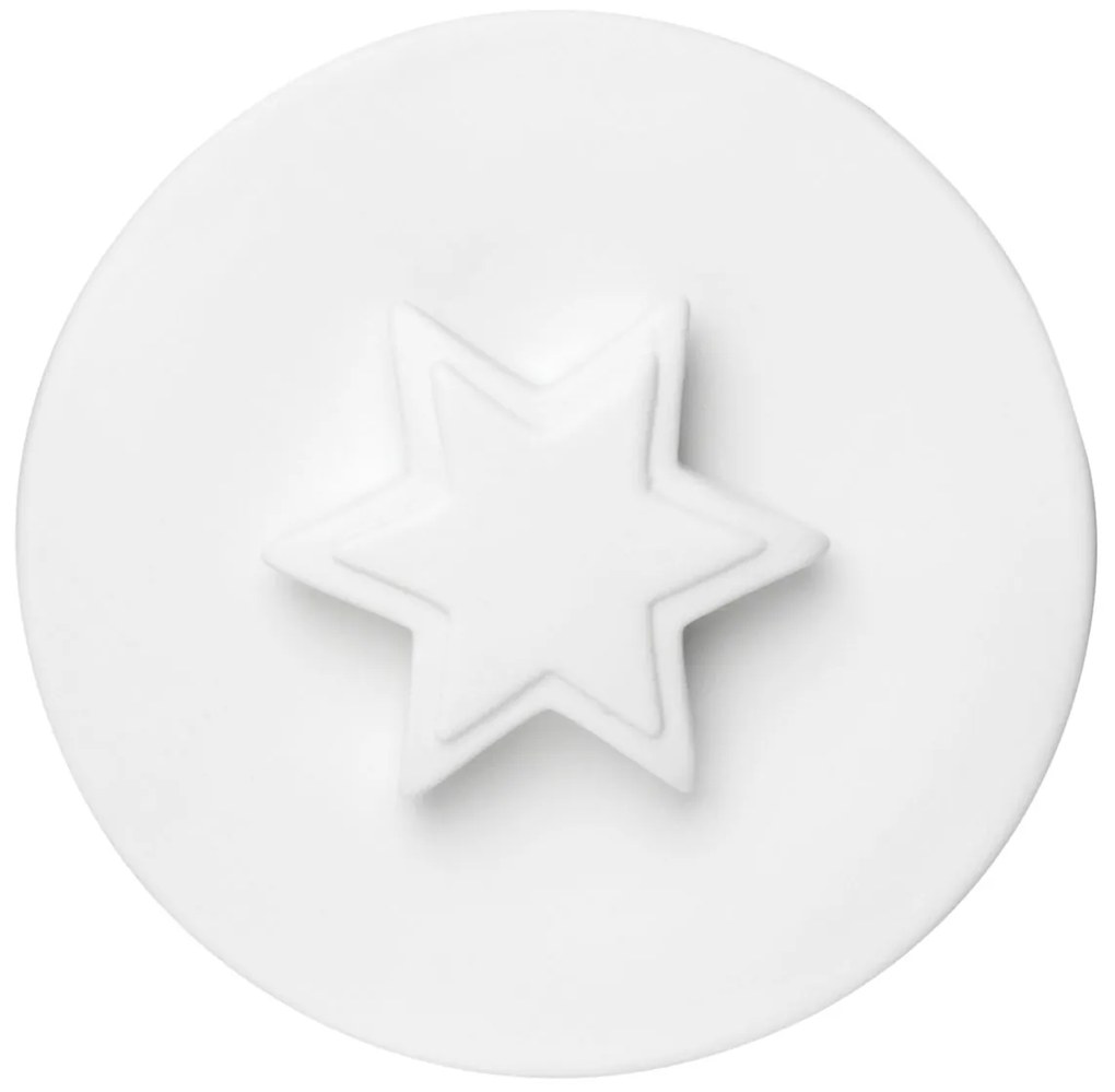 Szklany pojemnik na żywność STAR z porcelanową pokrywką