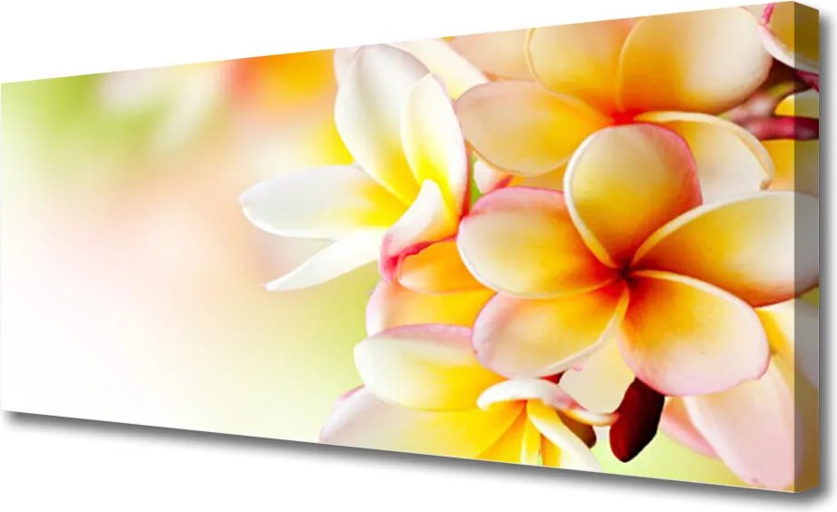 Obraz na płótnie Wyjątkowa Kompozycja Kwiatowa