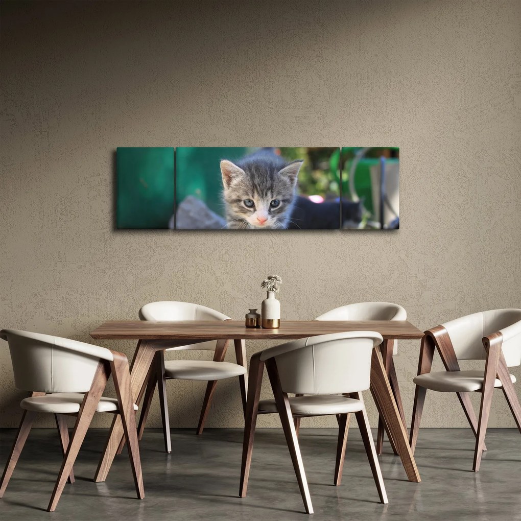 Obraz kotków (170x50 cm)