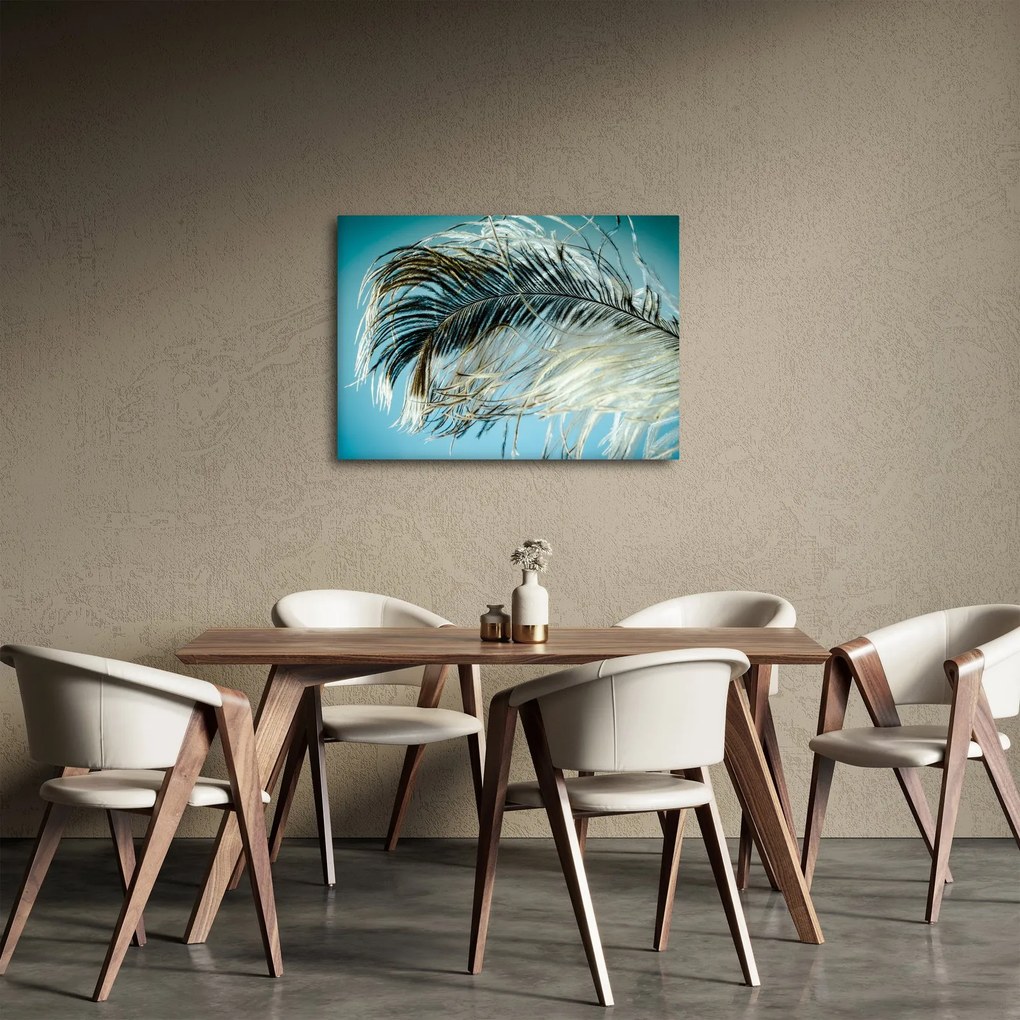 Obraz pióra (70x50 cm)