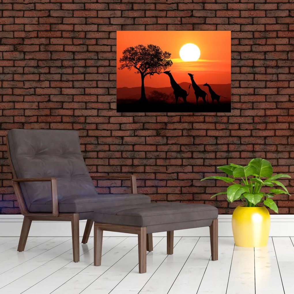 Obraz na szkle żyraf o zachodzie słońca (70x50 cm)