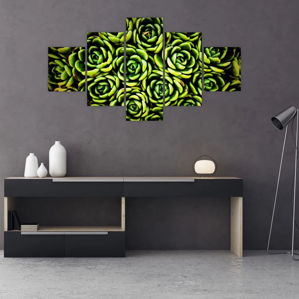 Obraz bez grzywki (125x70 cm)
