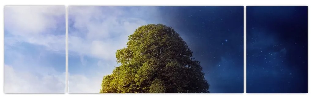 Obraz - Dzień i noc (170x50 cm)