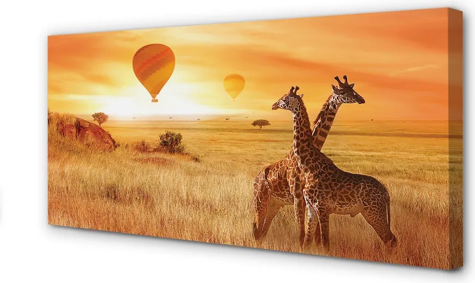 Fotoobraz na płótnie Żyrafy i Balony na Niebie