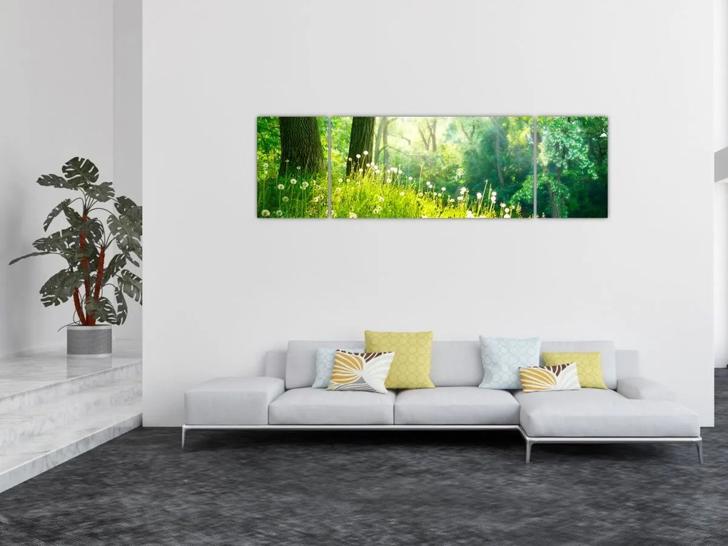 Obraz - Magiczna łąka pełna mniszków lekarskich (170x50 cm)