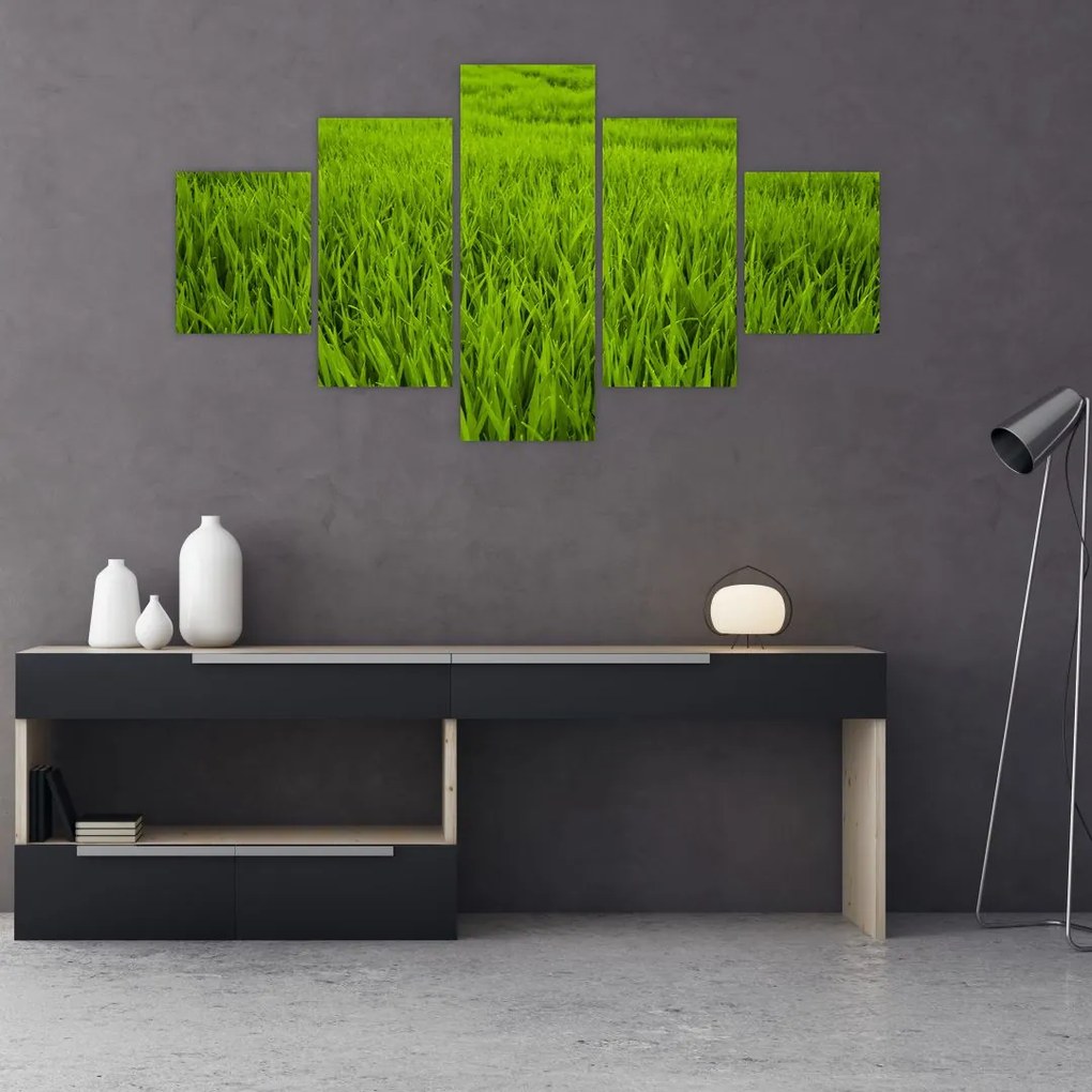 Obraz trawy (125x70 cm)