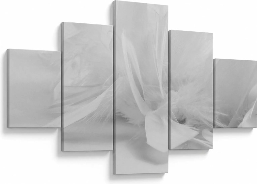 Obraz - Pióra (125x70 cm)