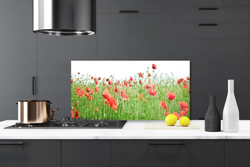 Panel nad blat kuchenny Krwistoczerwone Maki