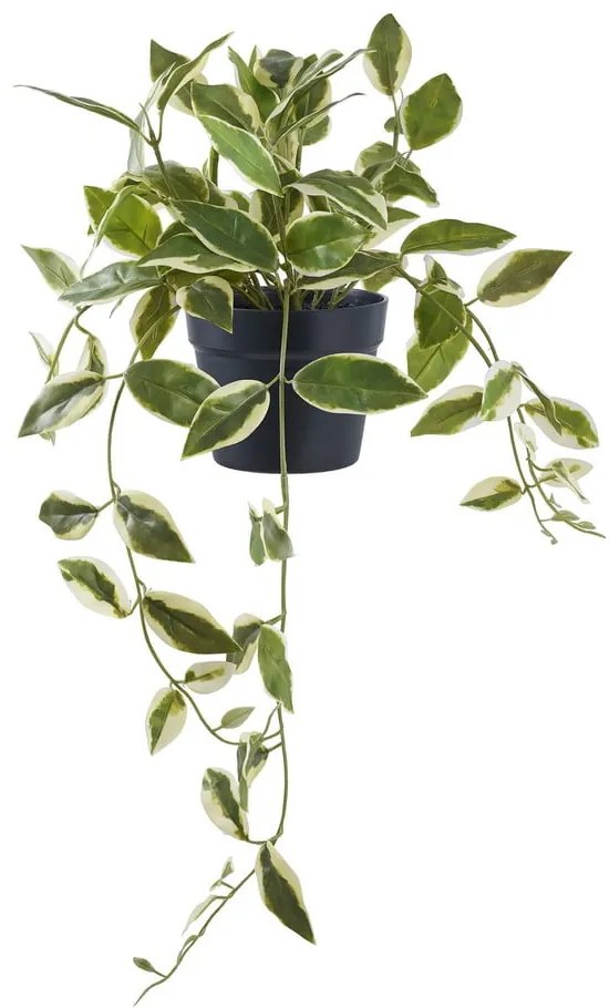 Sztuczna roślina (wysokość 33 cm) Hoya Carnosa – House Nordic