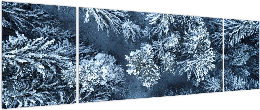 Obraz - Śnieżny las (170x50 cm)