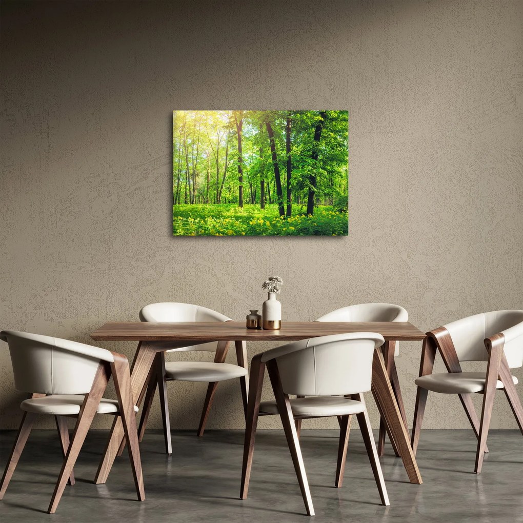 Obraz - Wiosenny las liściasty (70x50 cm)