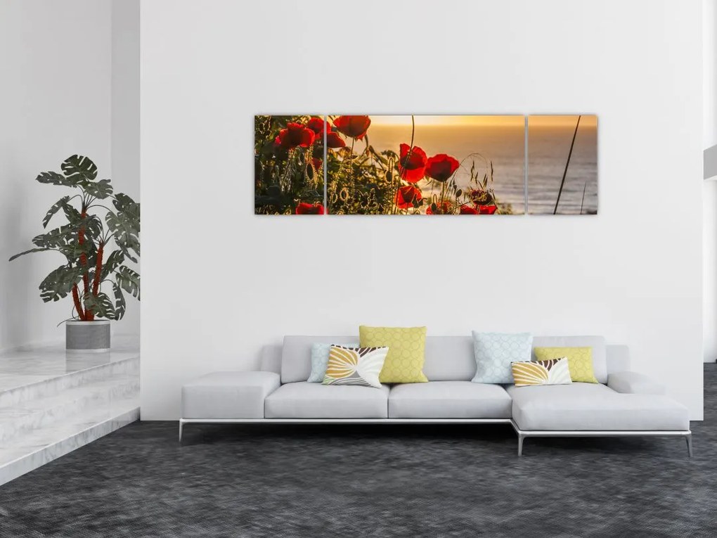 Obraz zachodu słońca z makami (170x50 cm)