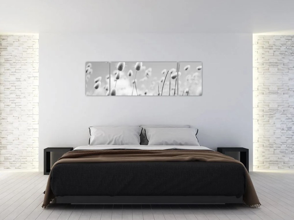 Obraz - Trawa z ogonkiem króliczka Boho (170x50 cm)