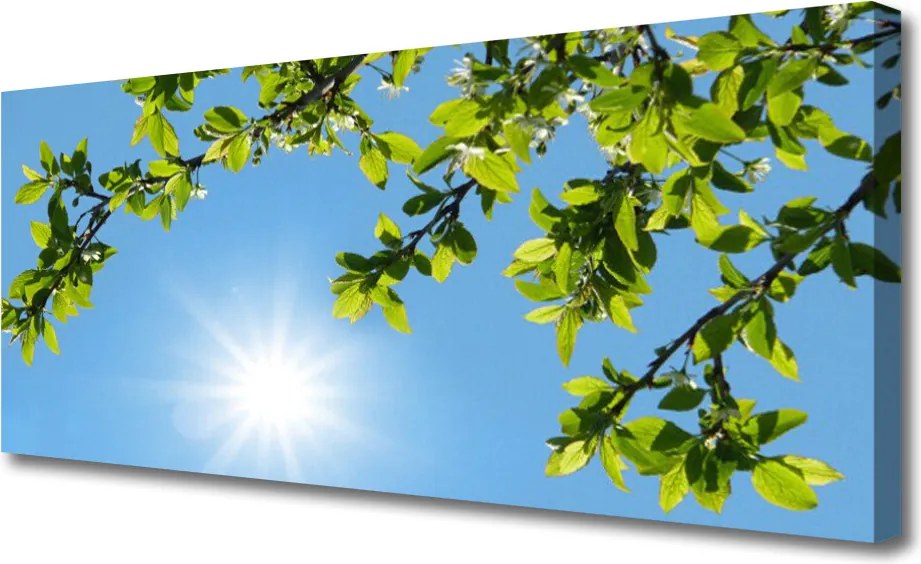 Fotoobraz na płótnie Złocisty Blask Słońca