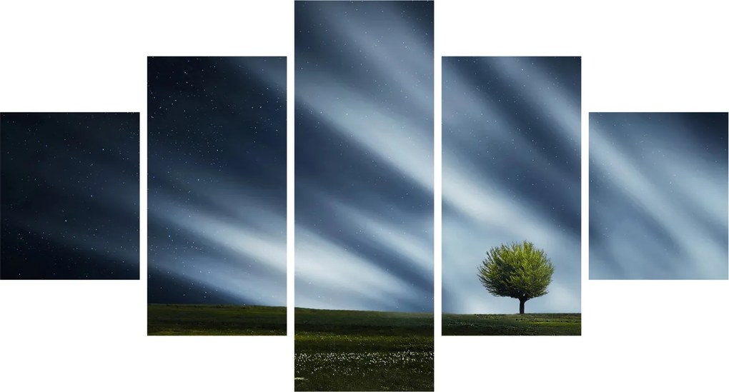 Obraz zorzy polarnej nad wrzosowiskami (125x70 cm)