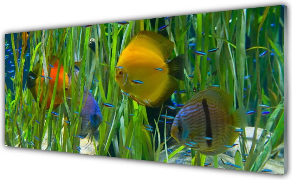 Panel Szklany Podwodny Świat Oceanu