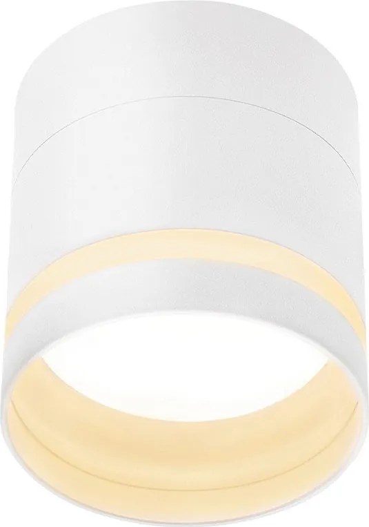 NETTLIFE LED Spot montowany na powierzchni Okrągły Spot sufitowy Biały 5W Spot montowany na powierzchni Mały akrylowy