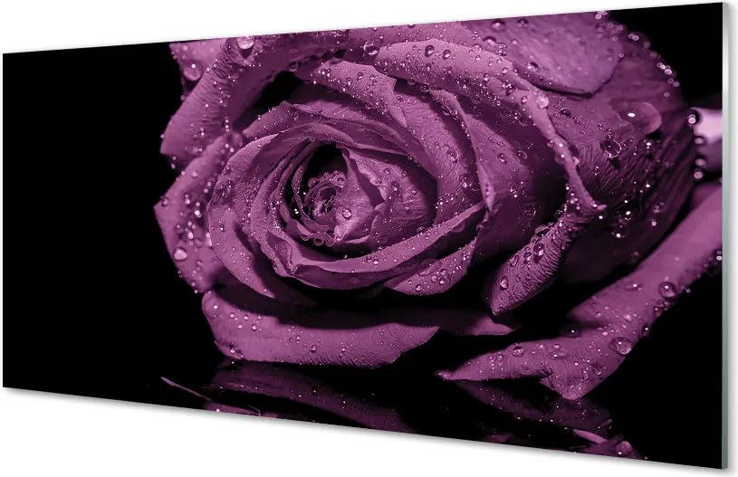 Panel nad Blat Kuchenny Szlachetna Fioletowa Róża