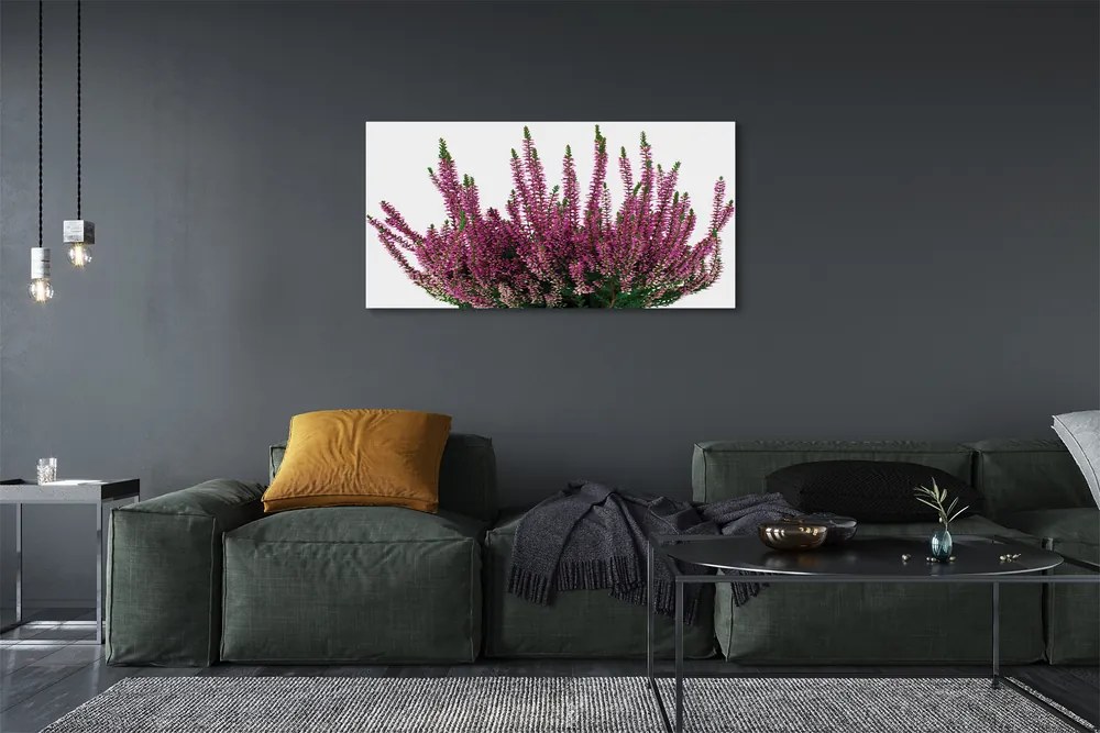 Duży obraz na płótnie Wrzosy