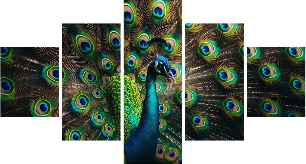 Obraz – Paw (125x70 cm)