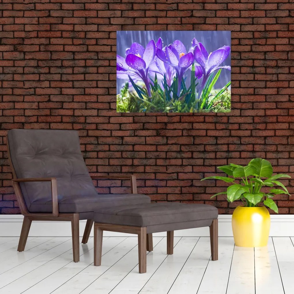 Obraz na szkle - kwiaty w deszczu (70x50 cm)