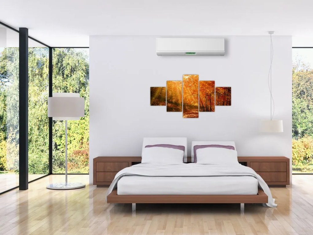 Obraz jesiennego lasu (125x70 cm)