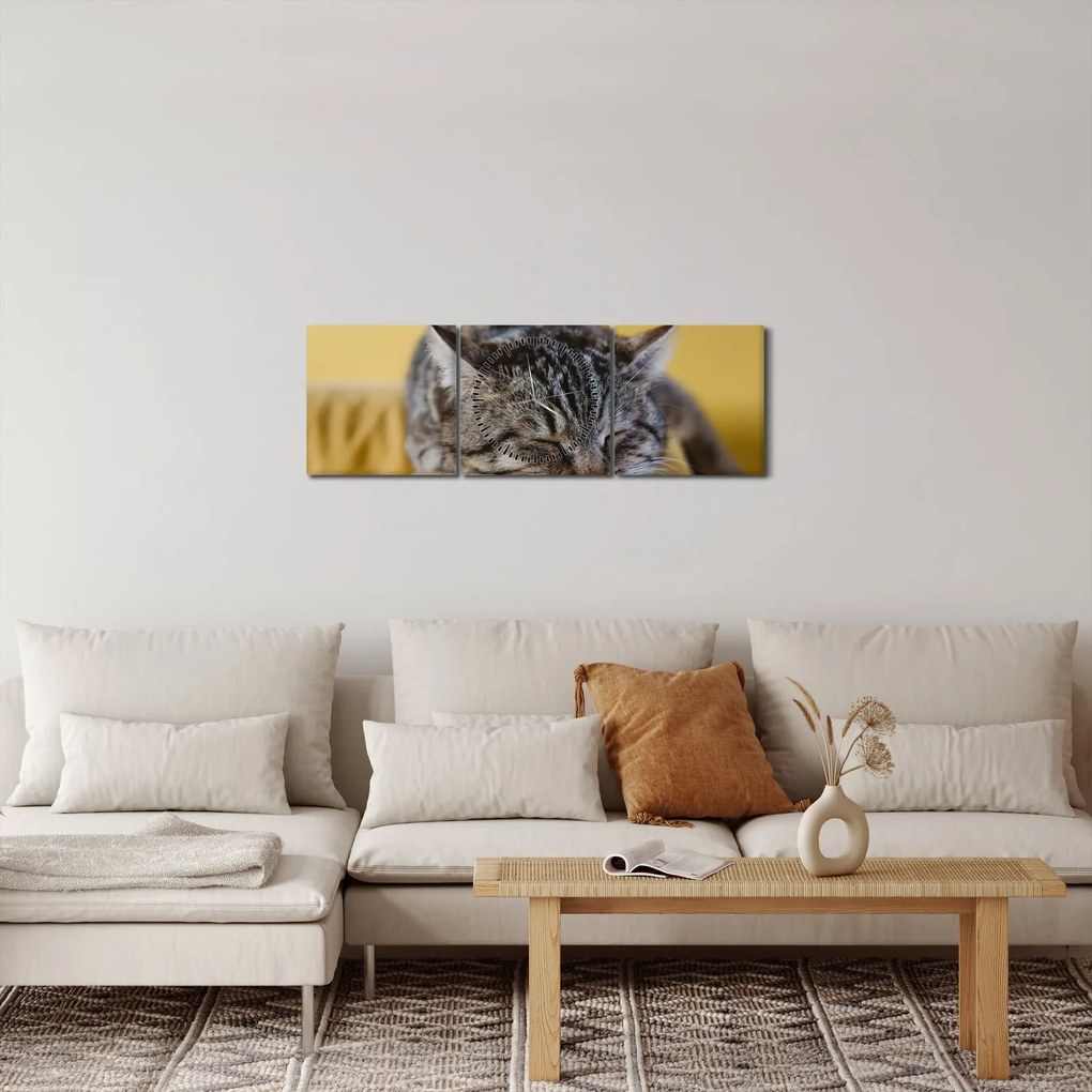 Obraz kota na kanapie (z zegarem) (90x30 cm)