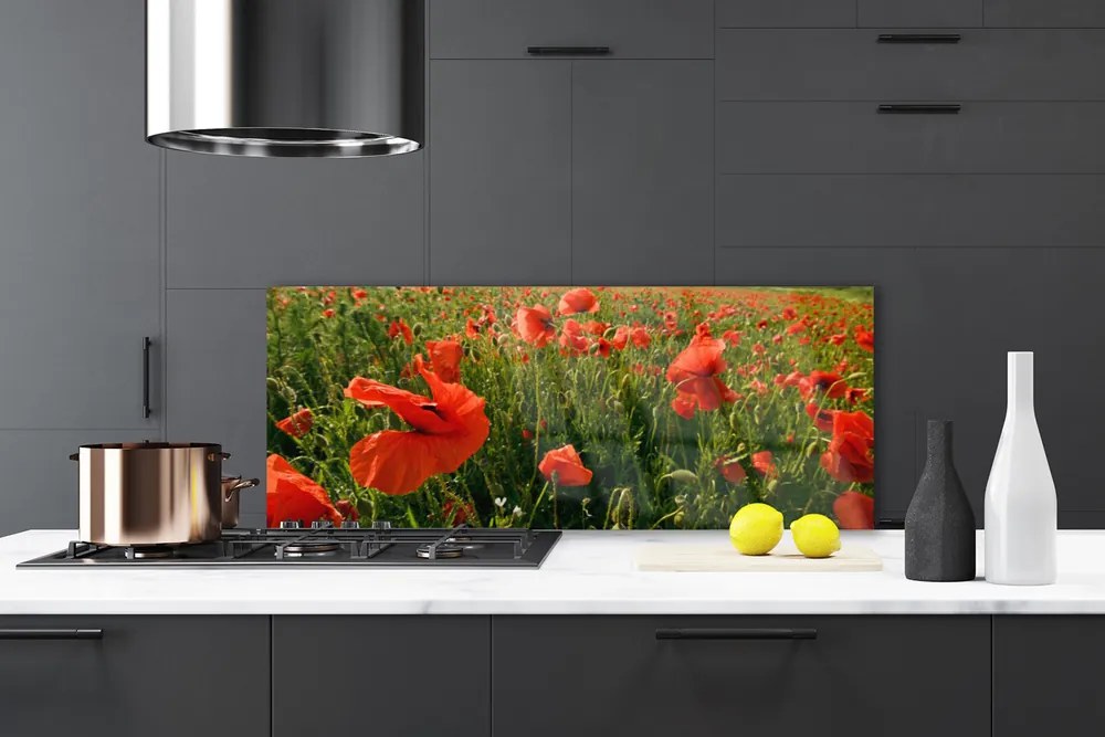 Panel Szklany Maki w Porannej Rosie