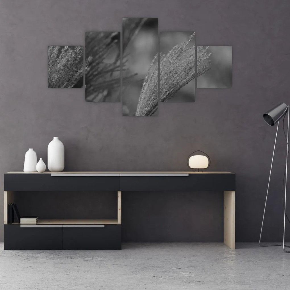 Obraz - Suszona trawa pampasowa (125x70 cm)