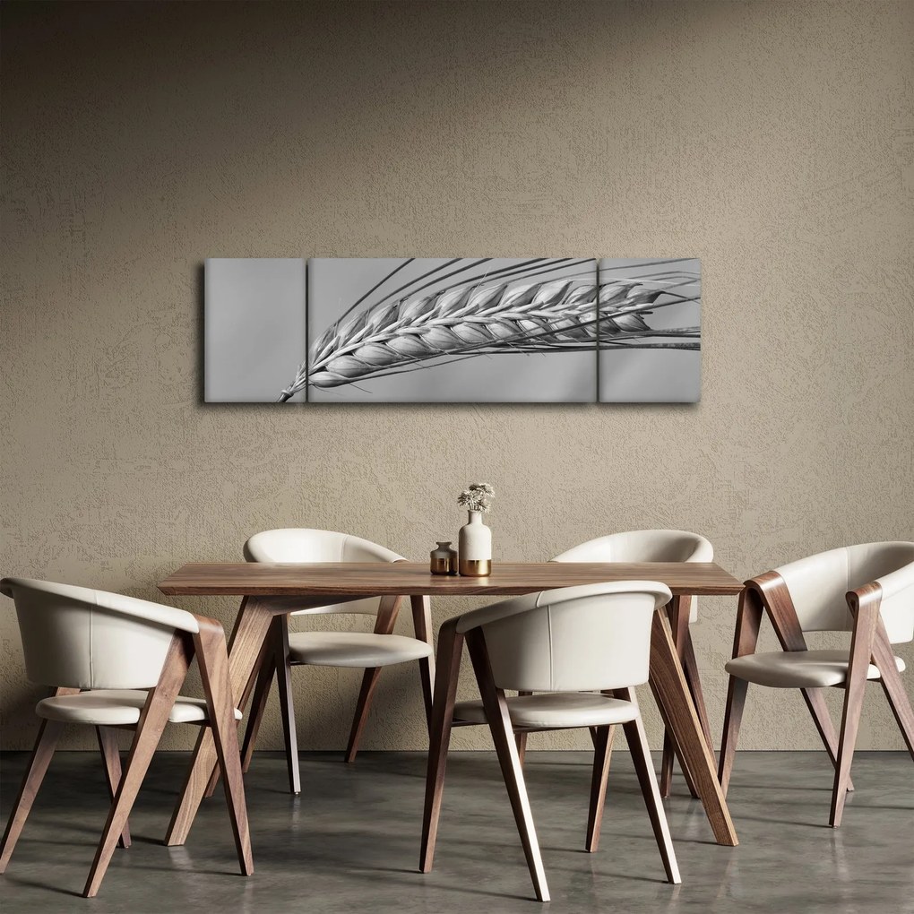 Obraz - Pszenica, czarno - biały (170x50 cm)