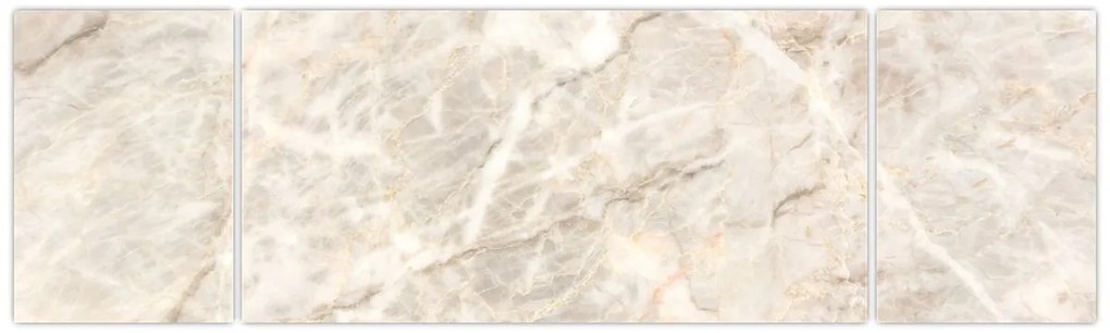 Obraz - Mamur (170x50 cm)