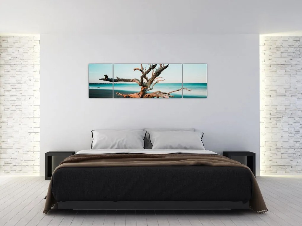 Obraz -  Wyłowiono na plaży (170x50 cm)