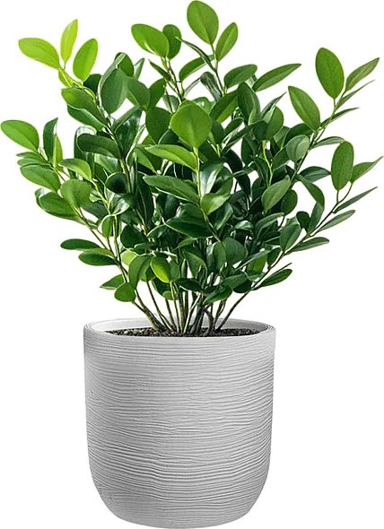 Wazon żywiczny cylindryczny Raffaello Bianco 35x34cm do roślin doniczkowych i ogrodowych