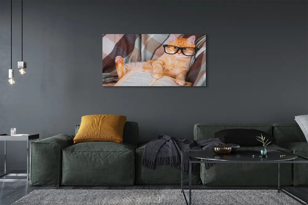 Zdjęcie na płótnie Kot "Czytający" Książkę