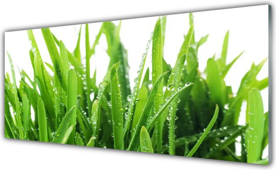 Panel Szklany do Kuchni Soczysta Zielona Trawa
