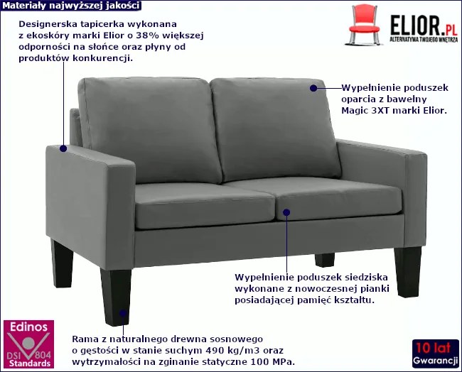 Szara dwuosobowa sofa do salonu - Clorins 2X