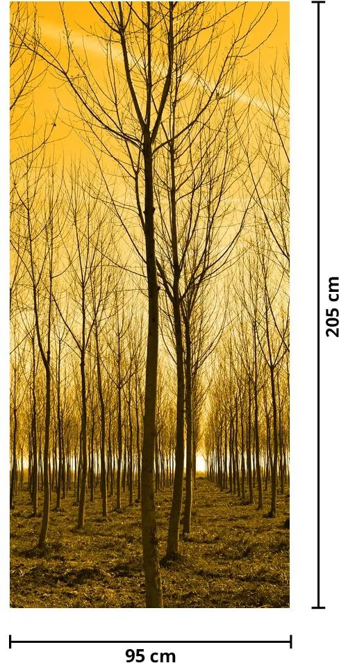 Fototapeta na drzwi - Las o zachodzie słońca (95x205cm)