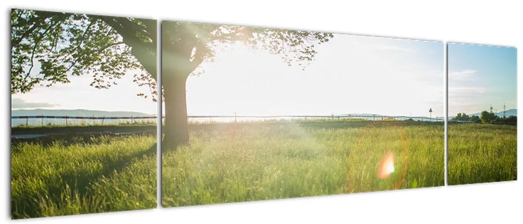 Obraz letniej łąki (170x50 cm)