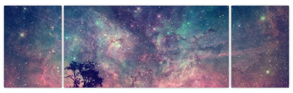 Obraz - Nieziemskie nocne niebo (170x50 cm)