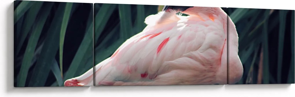 Obraz - Flaming (170x50 cm)