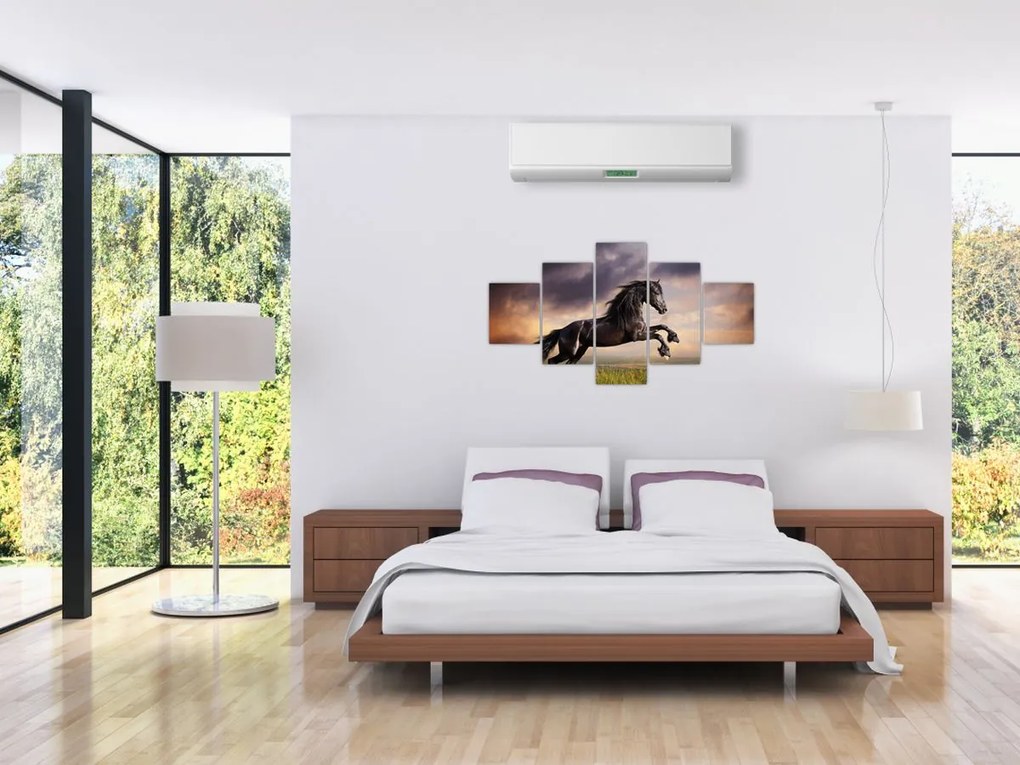 Obraz - Konie (125x70 cm)